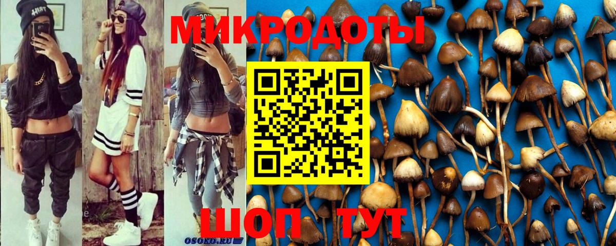Будённовск  Псилоцибиновые грибы MAGIC MUSHROOMS  Псилоцибиновые грибы GOLDEN TEACHER  Вход с VPN 
