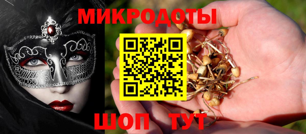 Псилоцибиновые грибы Magic Shrooms Будённовск
